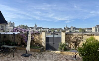 Vue Loire & Château de Saumur